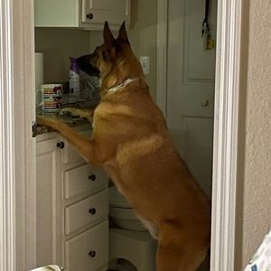 Meet your Posher, Nadia